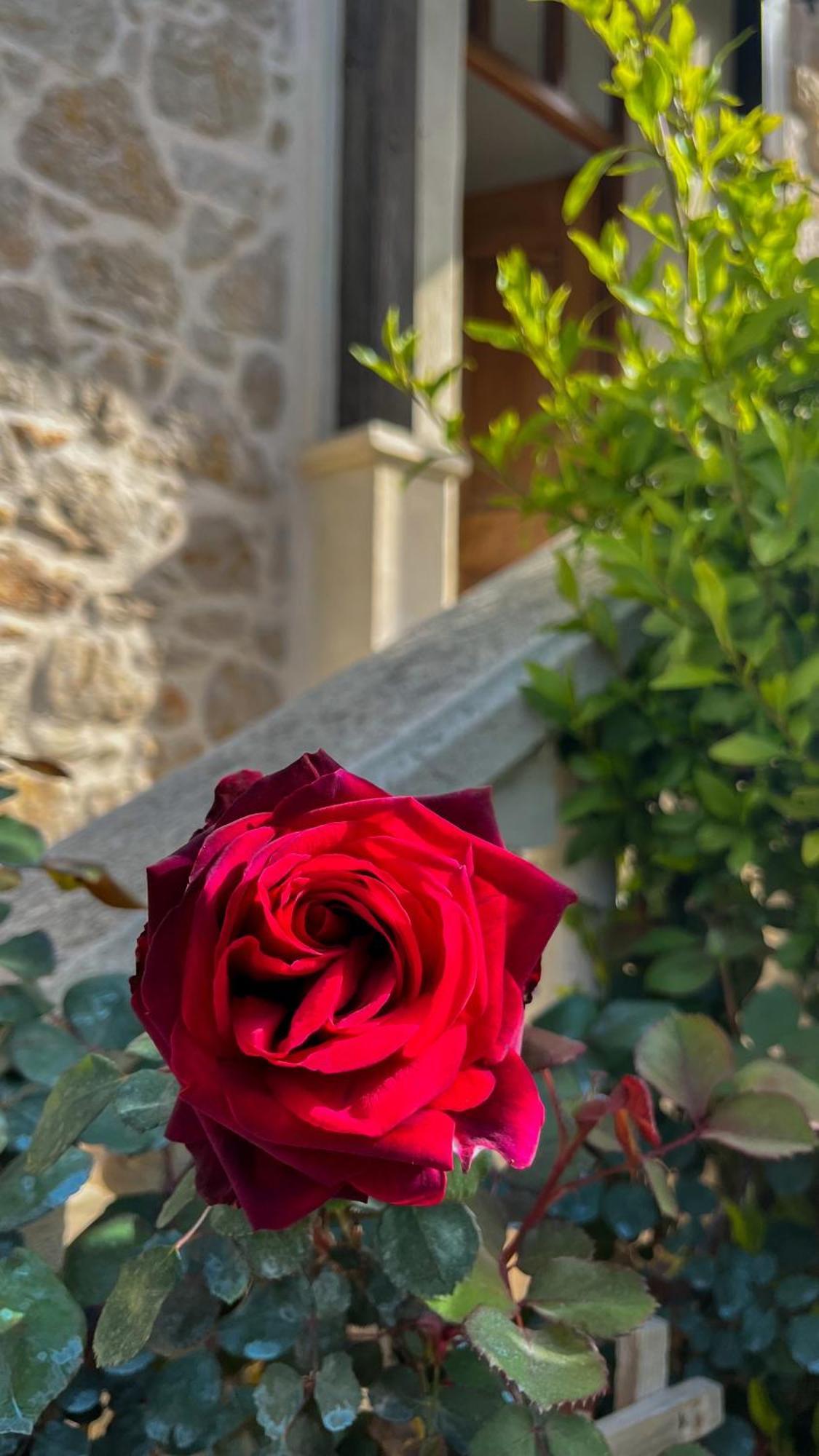Bed and Breakfast La Thebaide Grasse Exterior foto